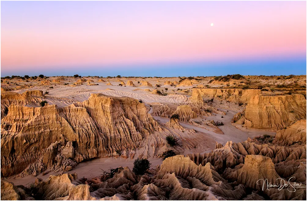 Uncovering the Stories of Lake Mungo