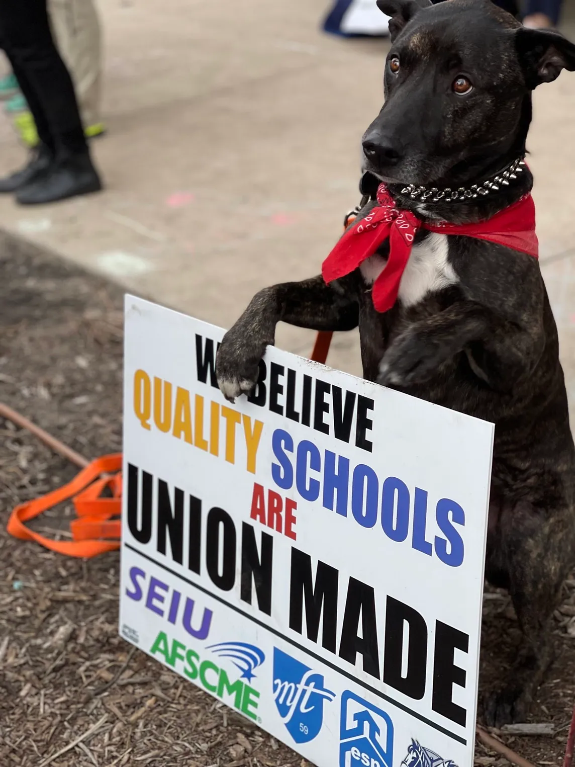 Students return after the MPS teacher strike ends