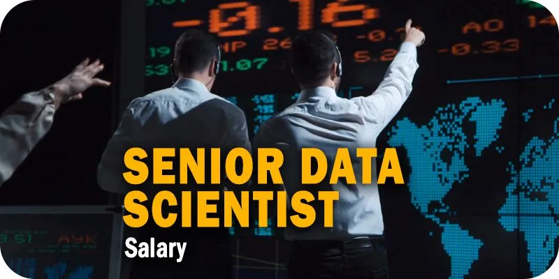 Senior Data Scientist Salary: What Will Be The Expected Pay in 2024?