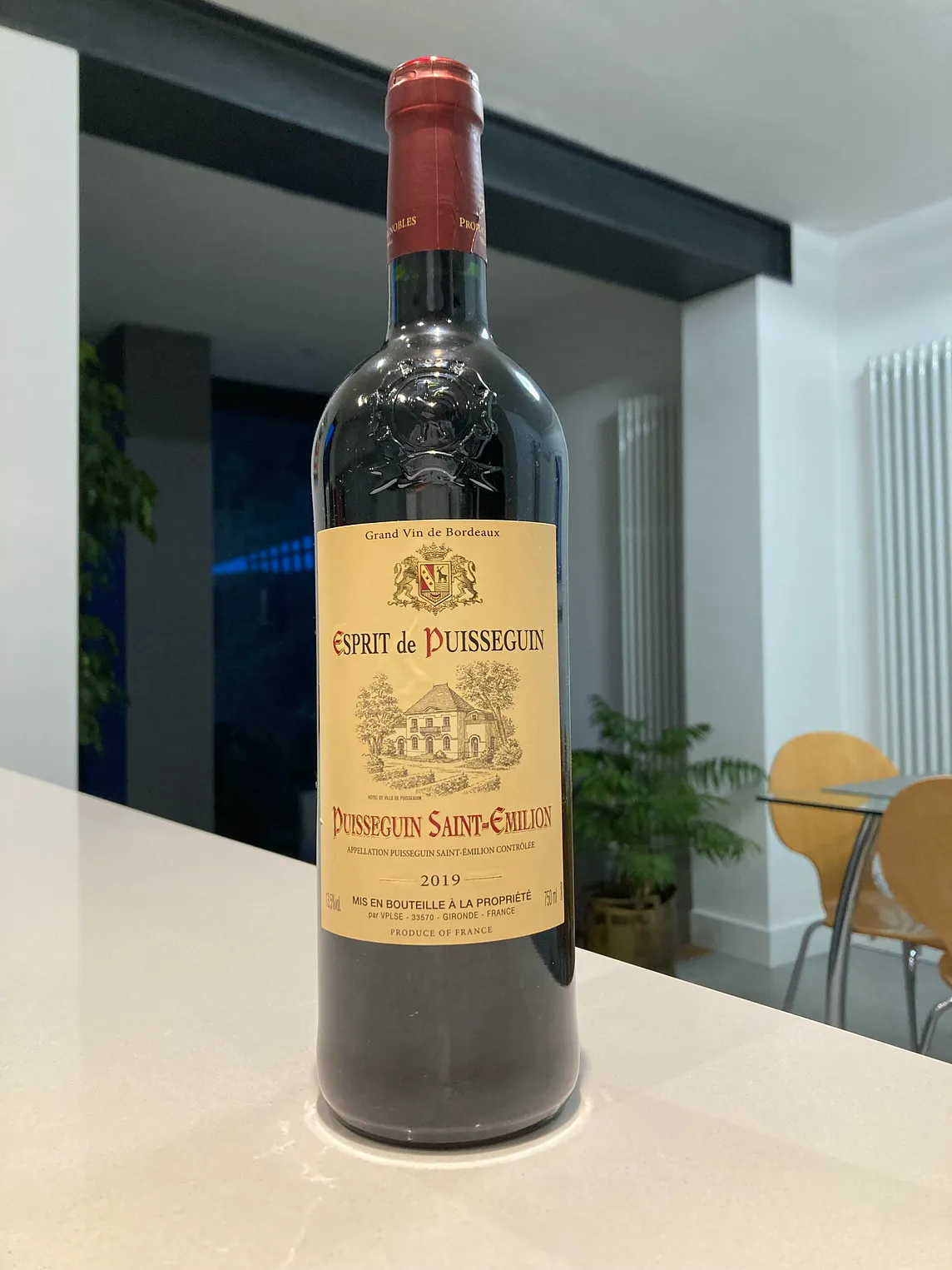 Esprit de Puissguin, Puissguin St Emilion 2019