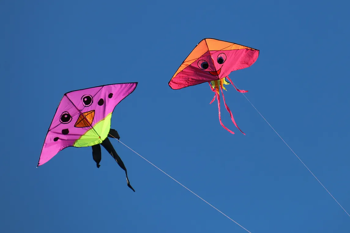 Kite Flying in Pakistan: Tradition, Culture, and Controversy