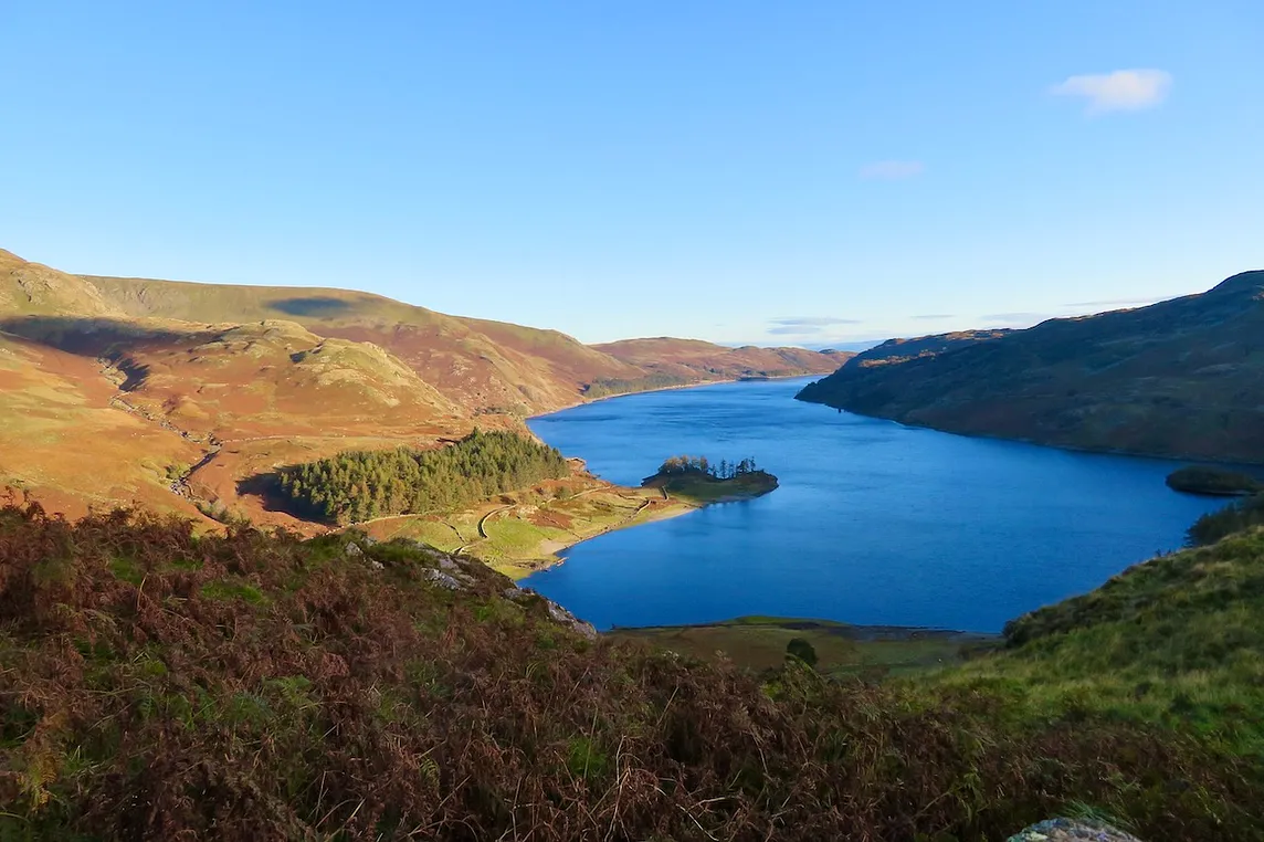 Haweswater — forest, raptors, and butterflies
