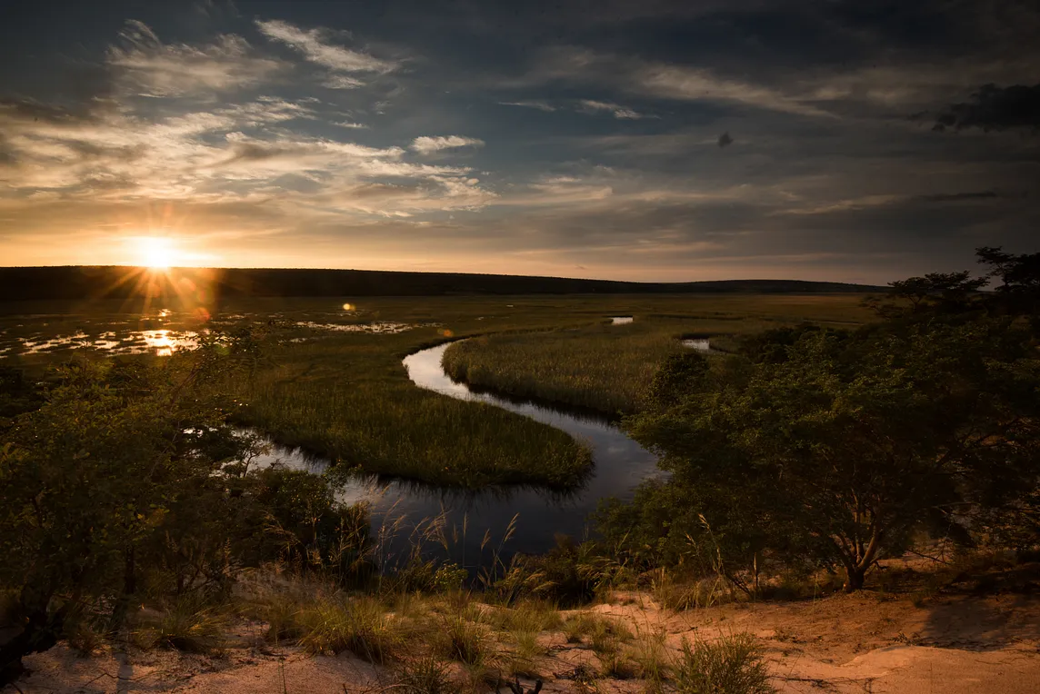 Learning to live as human beings in harmony with the wild