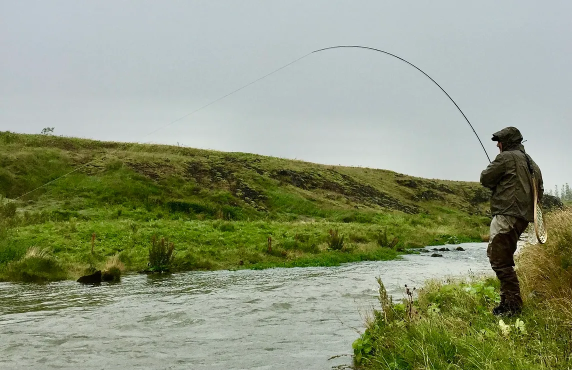 When in Iceland to Fish, You Fish, No Matter What