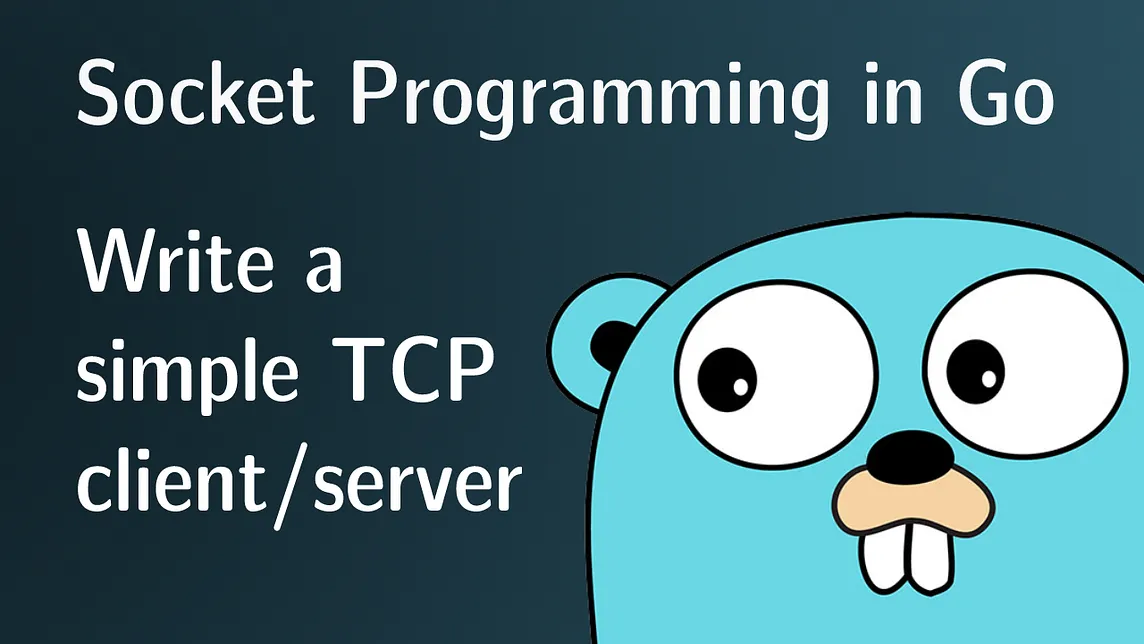 Socket Programming in Go, Write a simple TCP client/server