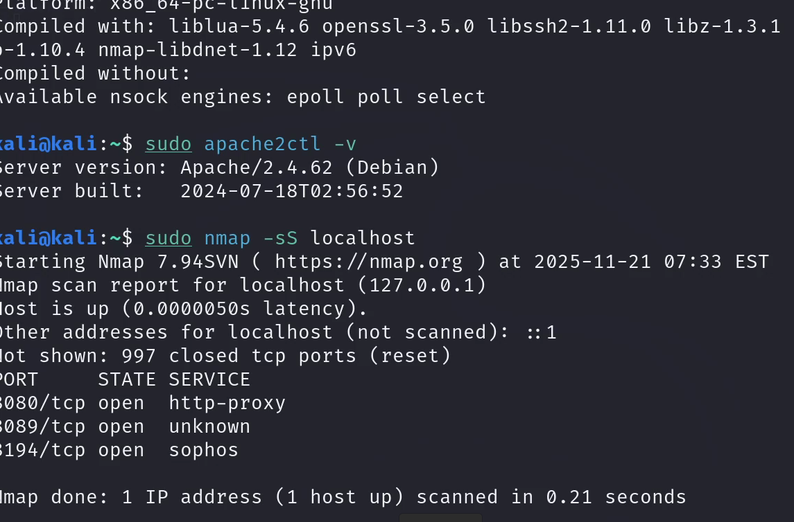ss output before enabling web server