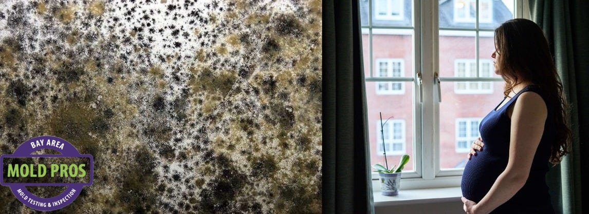 Understanding the Risks: Mold Exposure During Pregnancy | by ...