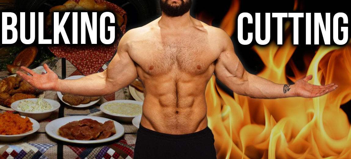 Bulking and cutting：what do you need to know？ by April Medium