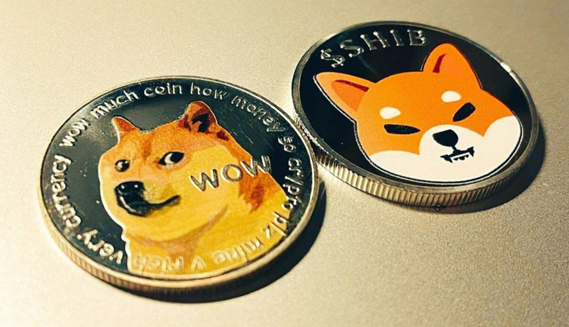 What Makes a Cryptocurrency Explode Like Shiba Inu?