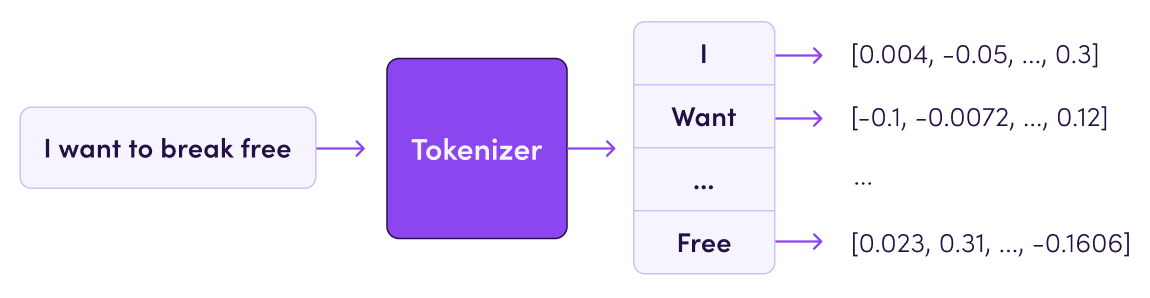 Tokenizer and Tokenization