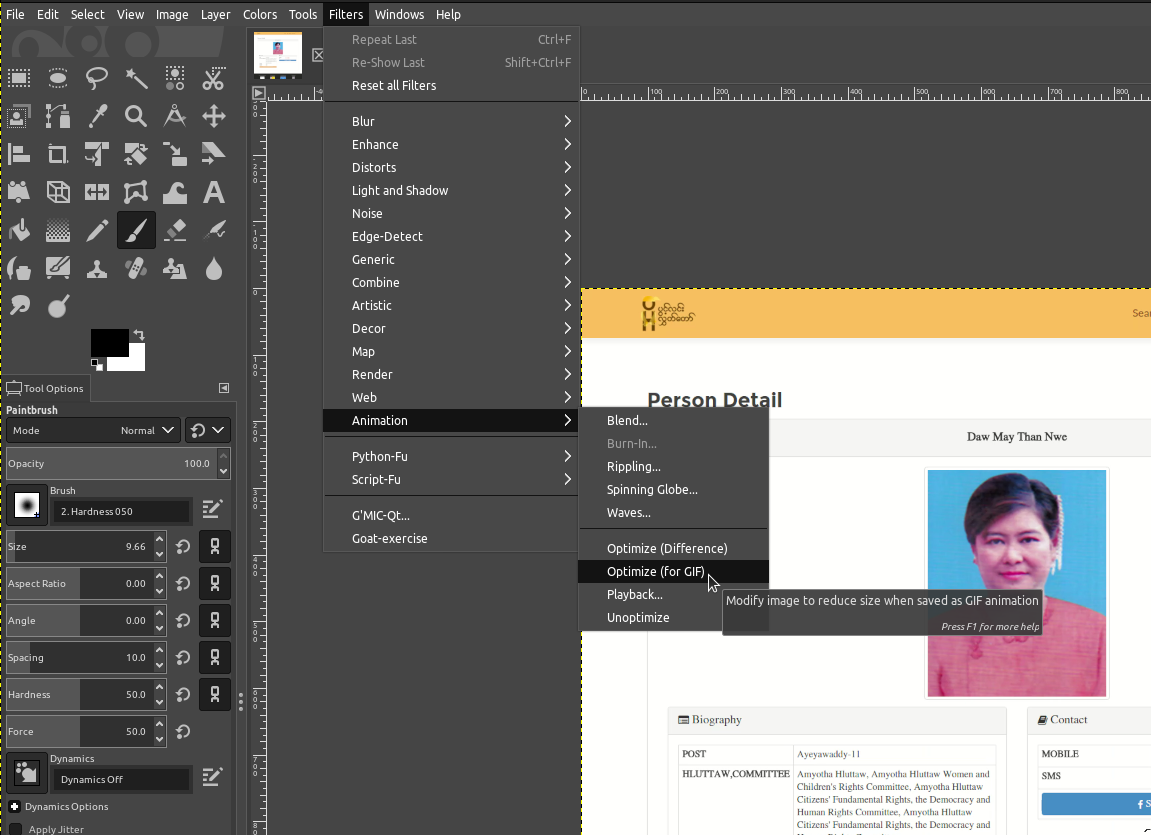 iPubsoft GIF Generator: Make/Create GIF Animation Easily