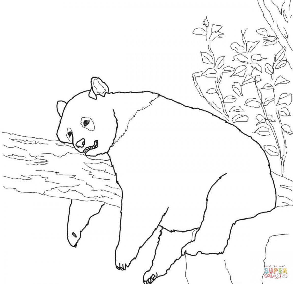 panda bear coloring pages