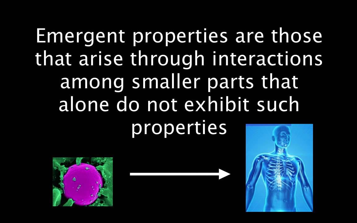 Emergent Properties