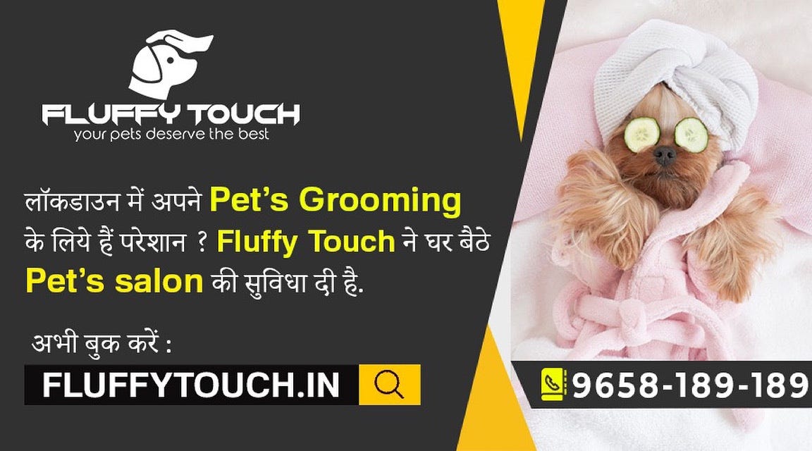 Worried about your Pet’s Grooming in lockdown? Fluffy Touch has given