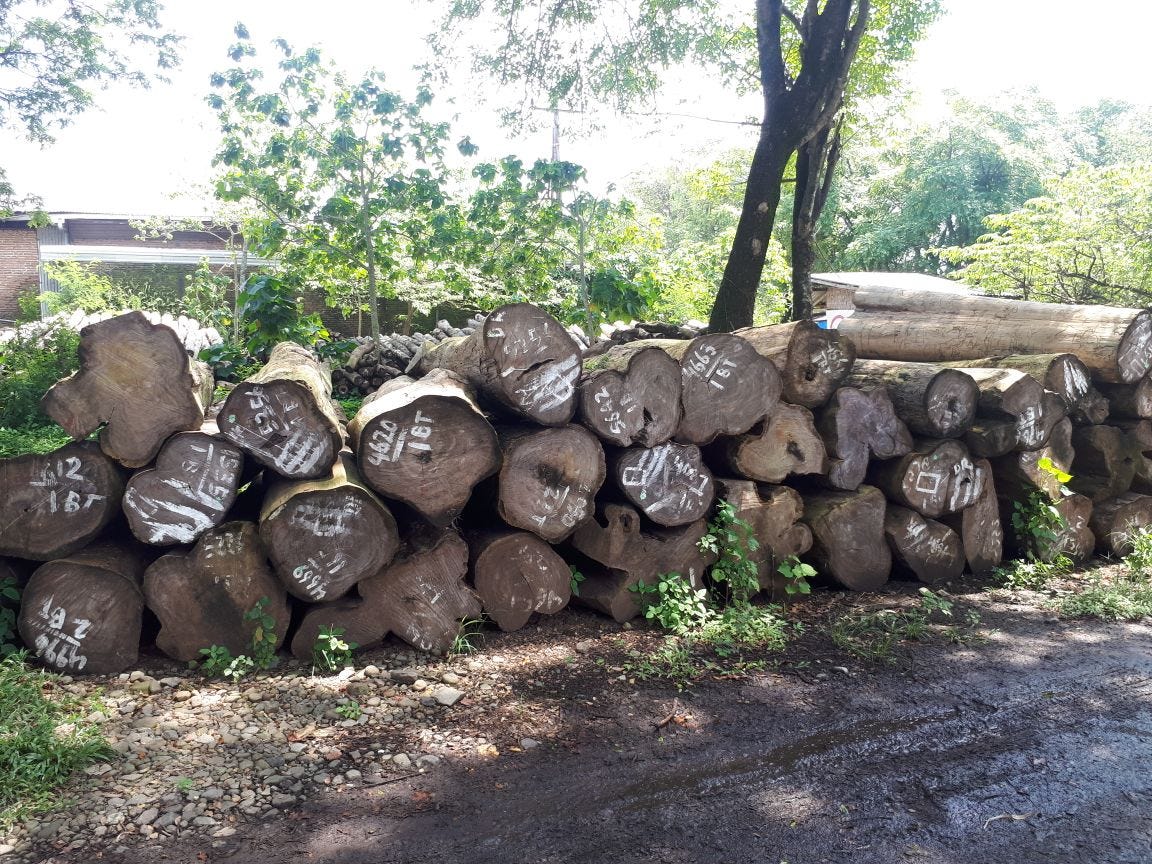 Why Choose Teak Wood Furniture?. Before we discuss why choose furniture… by alaminteak