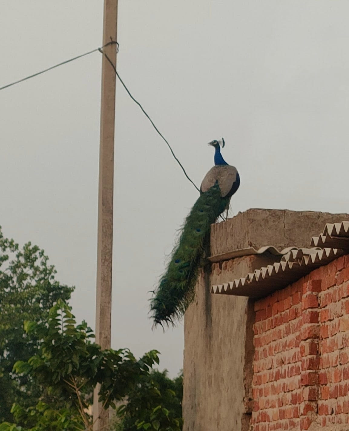 Ein Besuch in Delhi