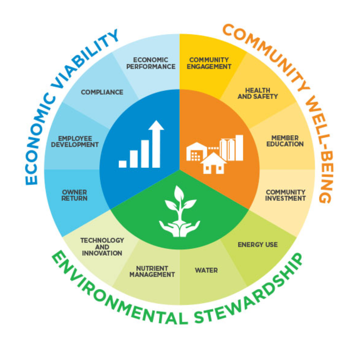 2021-creating-the-lexicon-of-future-by-ruth-glendinning-medium