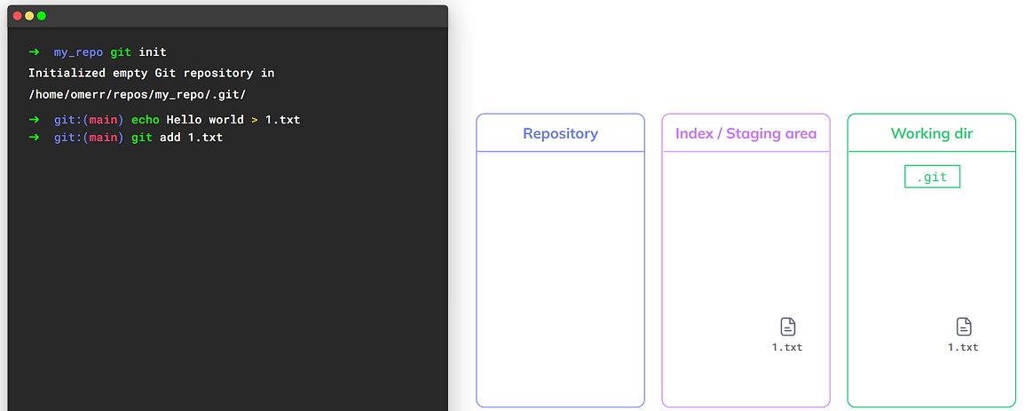 Using `git add` stages the file so it is now in the index as well (source: https://youtu.be/ozA1V00GIT8)