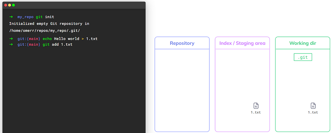 Using `git add` stages the file so it is now in the index as well (source: https://youtu.be/ozA1V00GIT8)