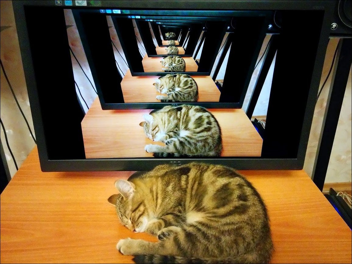 Включи котики устали громкость. Рекурсия котики. Кот в отражении. Кот на мониторе. Рекурсивный кот.
