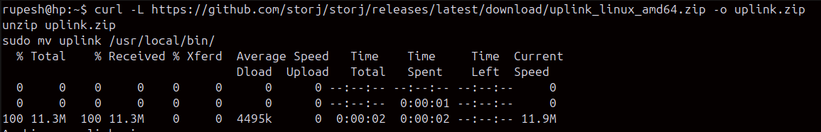 Linksharing in Storj