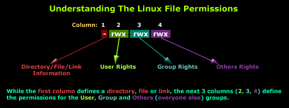 Linux basics: File permissions. My notes while learning about Linux… | by  Long Nguyen | Medium