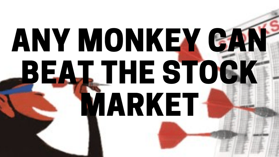 Any Monkey Can Beat The Stock Market Here's How | by randerson112358 |  Medium