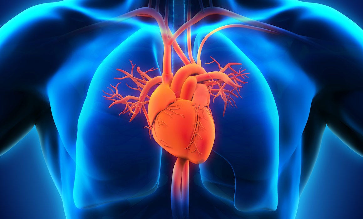 Heart Blockage — Natural Remedies For Heart Palpitations Fanirathod Medium