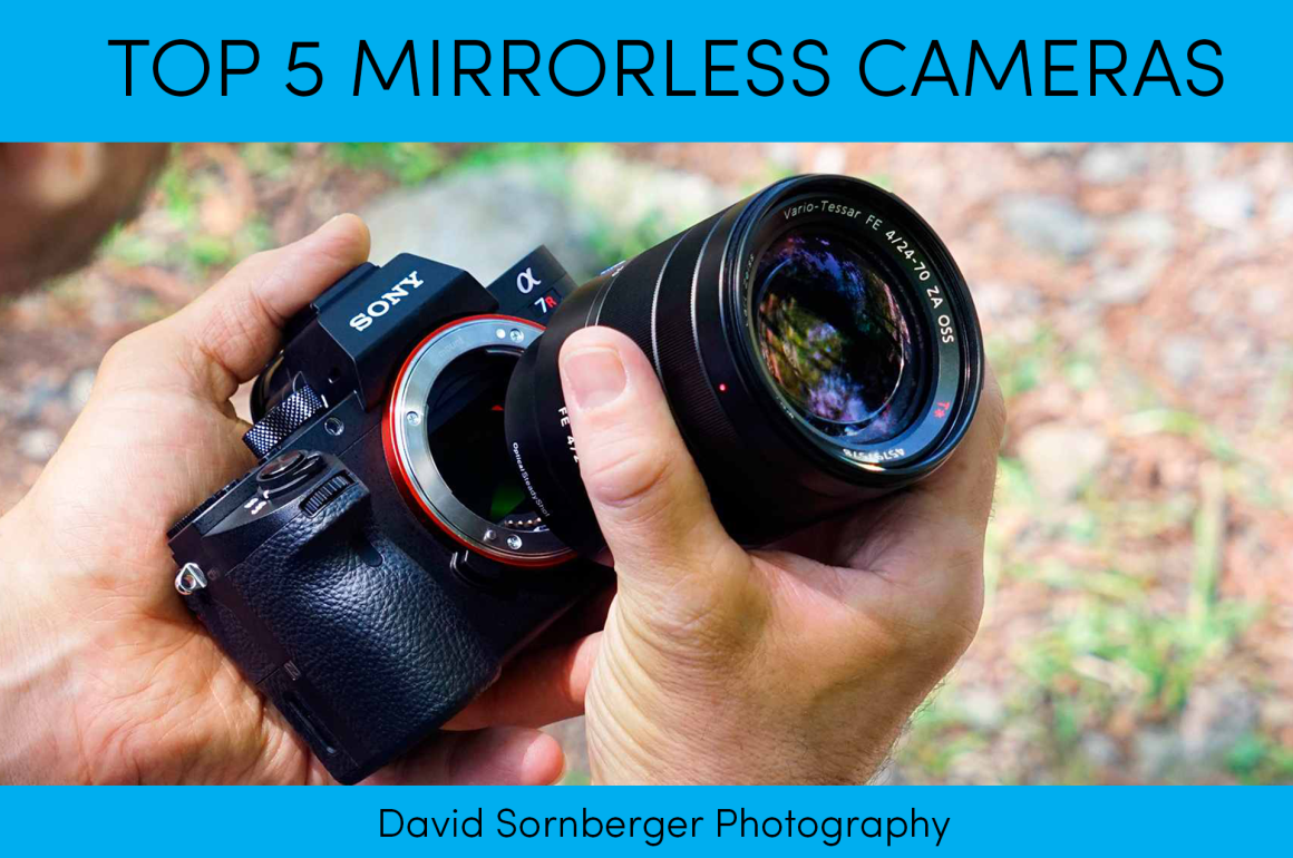 The 5 Best Mirrorless Cameras of 2017 for Travel | by David Sornberger  Photography | Medium