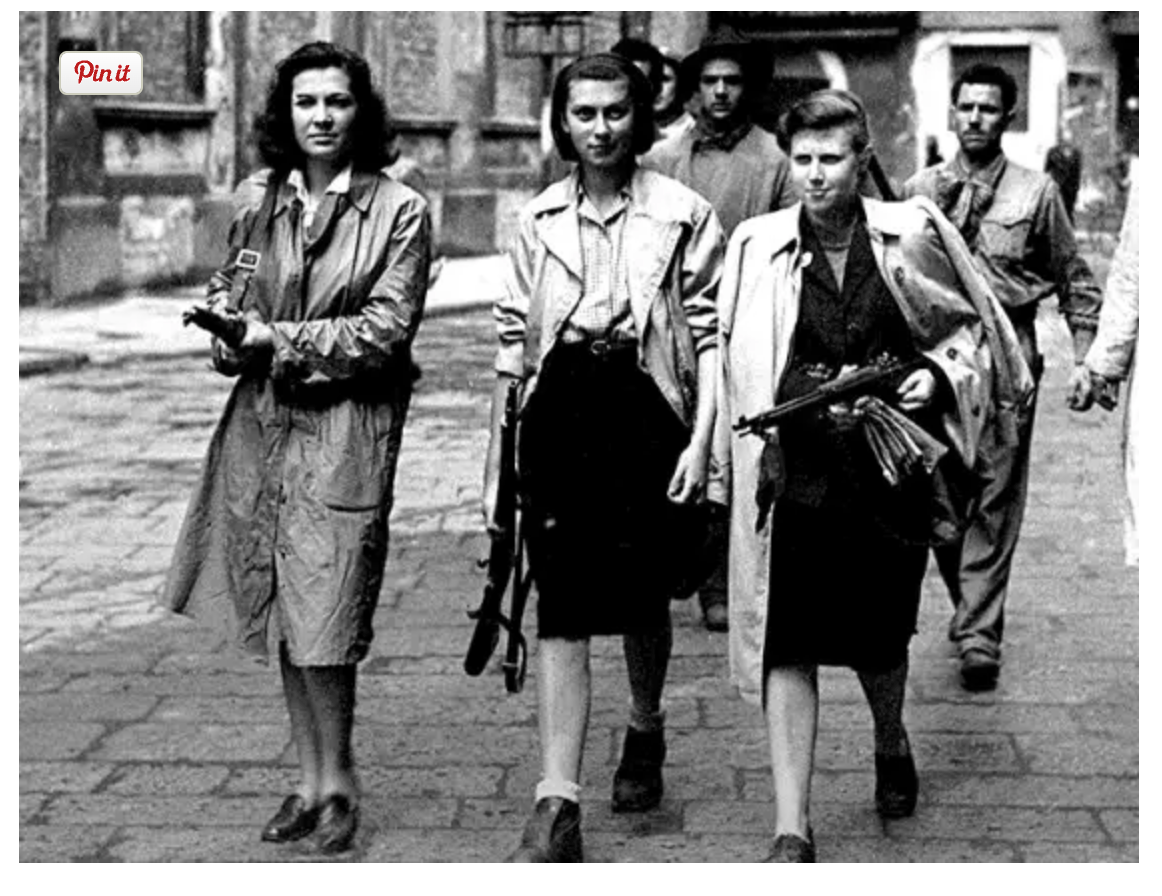 The Last Hope Nancy Wake’s Struggle to Save Lives in WarTorn Europe