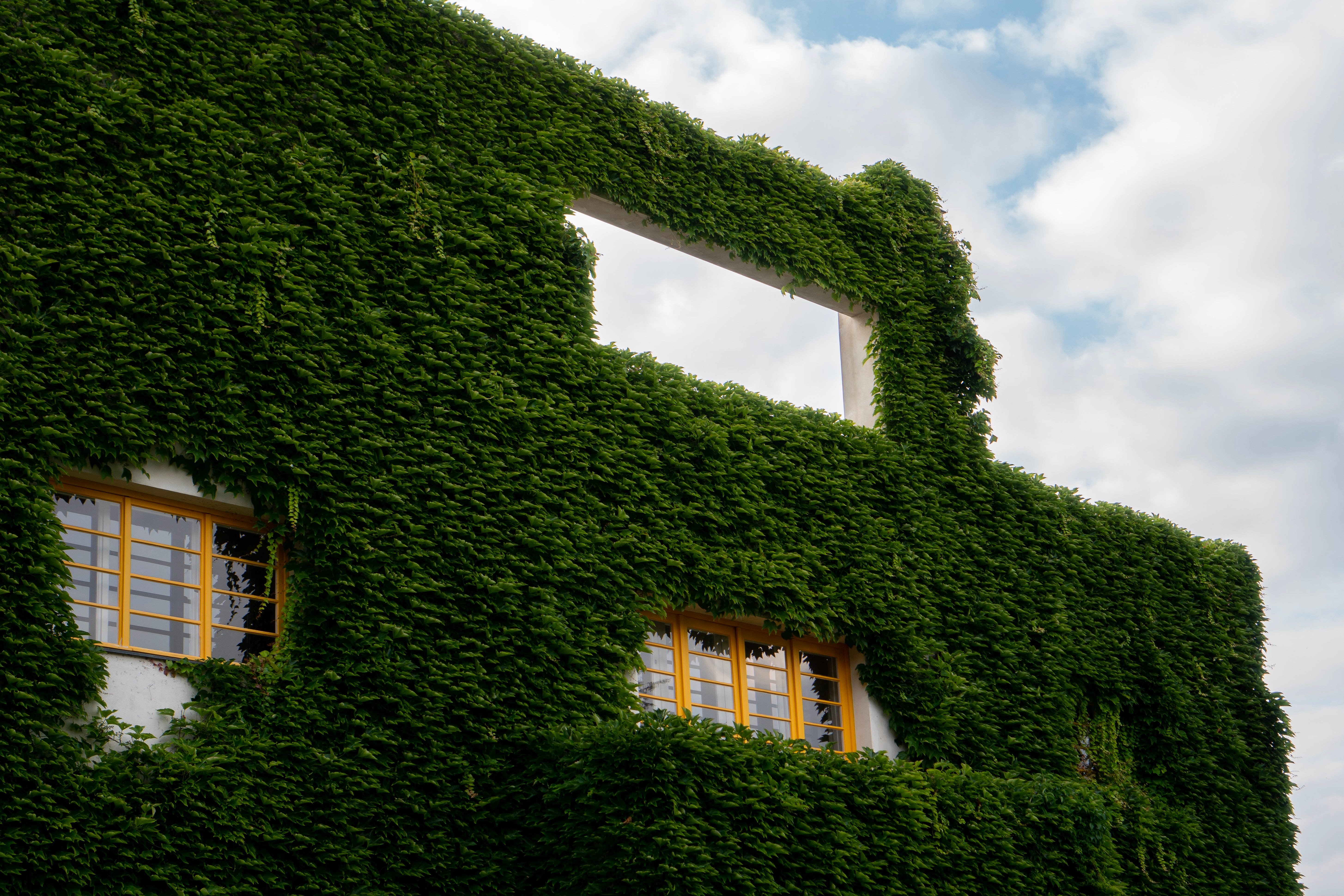 Villa Müller, Prague. A 10 minute stalk around an Adolf Loos… | by