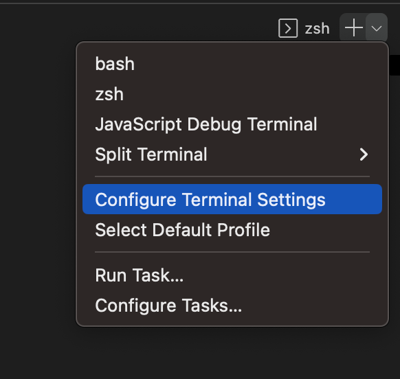 VSCode terminal settings