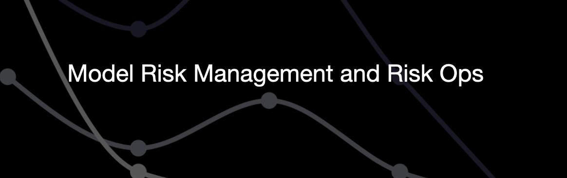 Model Risk Management and Risk ops | by Eduardo Perez Denadai | Medium