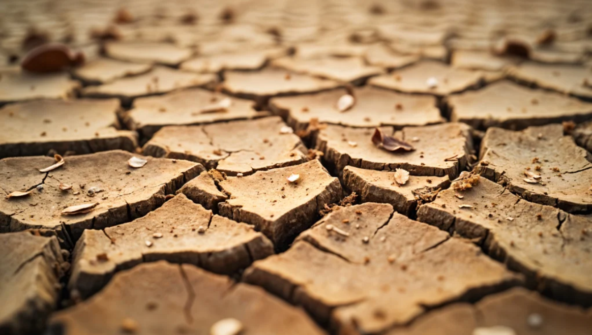 Water Scarcity in Saudi Arabia: What’s Being Done to Solve It?