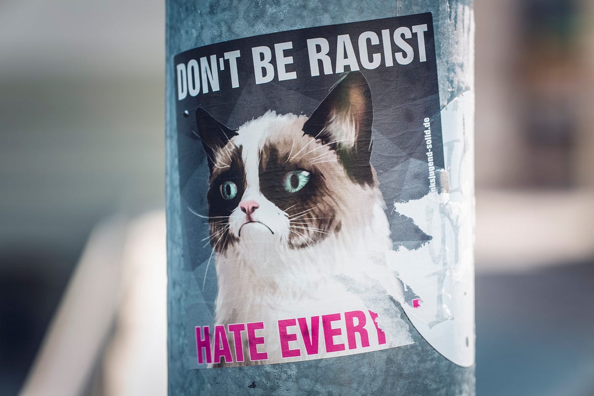 Picture of a mean looking cat with the caption "Don't be a racist. Hate everyone."