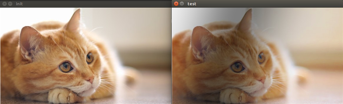 Adjust Local Brightness for Image Augmentation | by zong fan | Medium