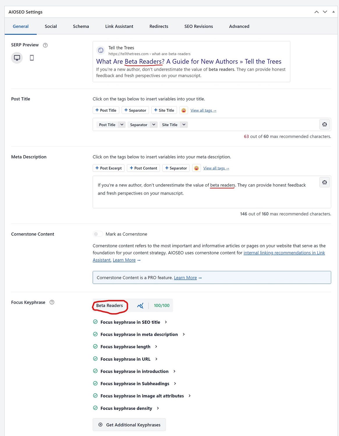 Focus keywords on blog posts for Pinterest marketing