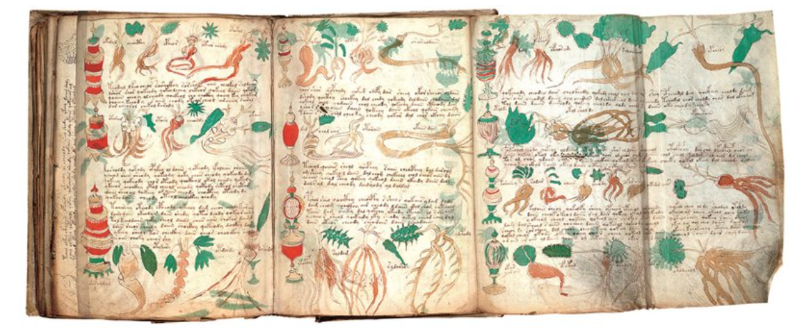The Voynich Manuscript: The Undecipherable Enigma That Has Baffled ...