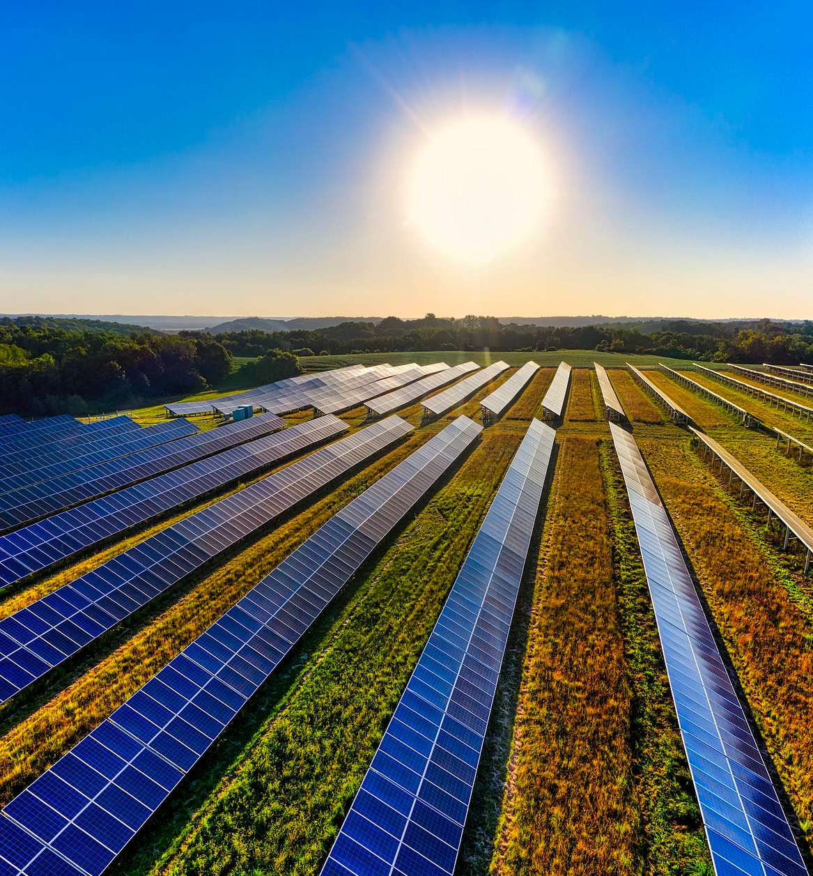 A solar farm