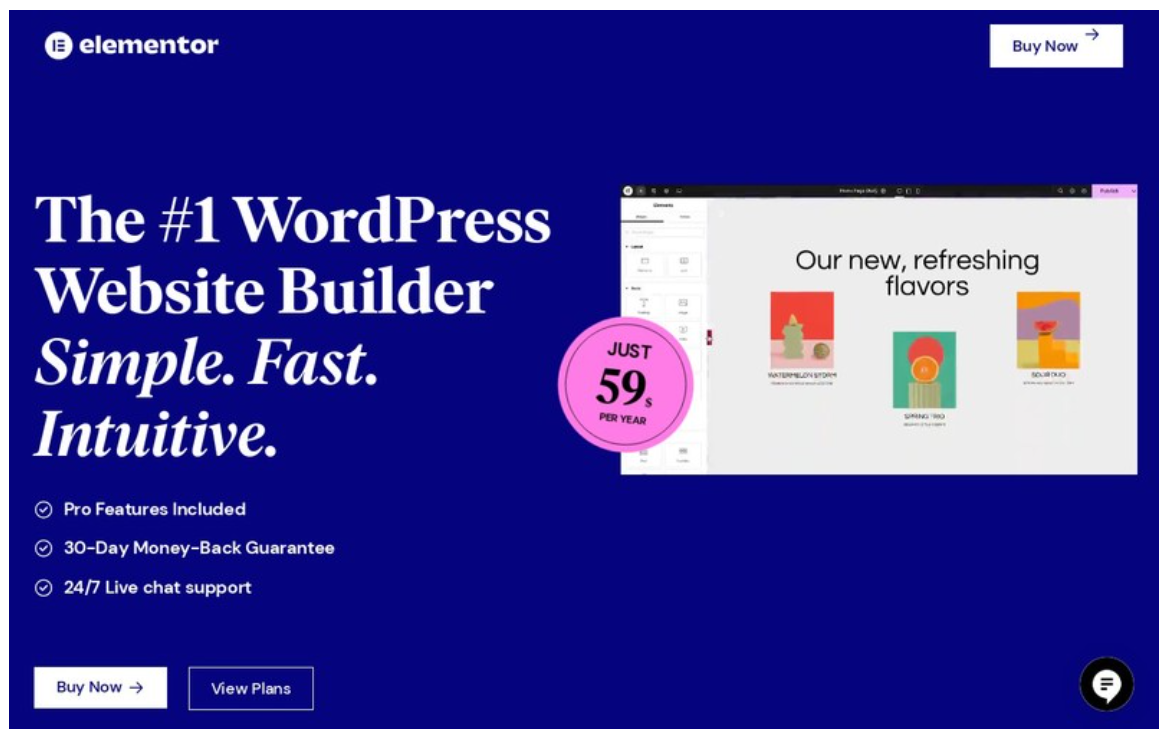 Revolutionizing Web Design for All Skill Levels — Elementor
