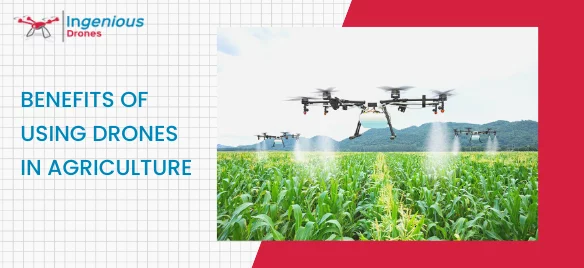 5 Benefits of using Drones in Agriculture | Drone photography and video  service Texas | by Ingeniousdrone | Medium
