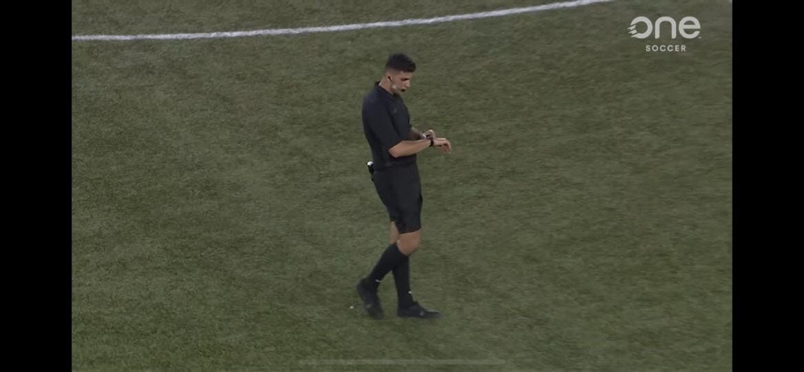 A Comprehensive Guide on a Referee by Mario Alayass Jun