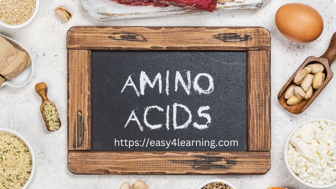Amino Acids (Food Science). About WordPress by Zain Ul Abideen Abideen Medium