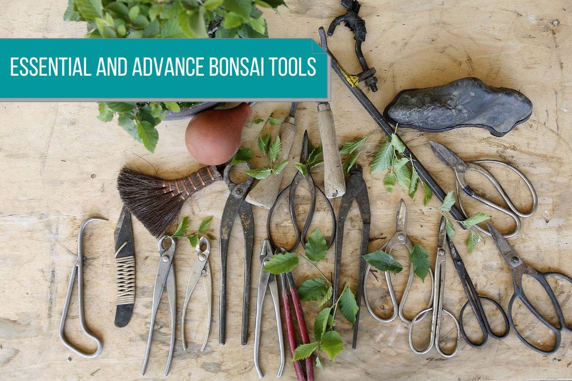Essential and advance bonsai tools by Bhupinder Singh Medium