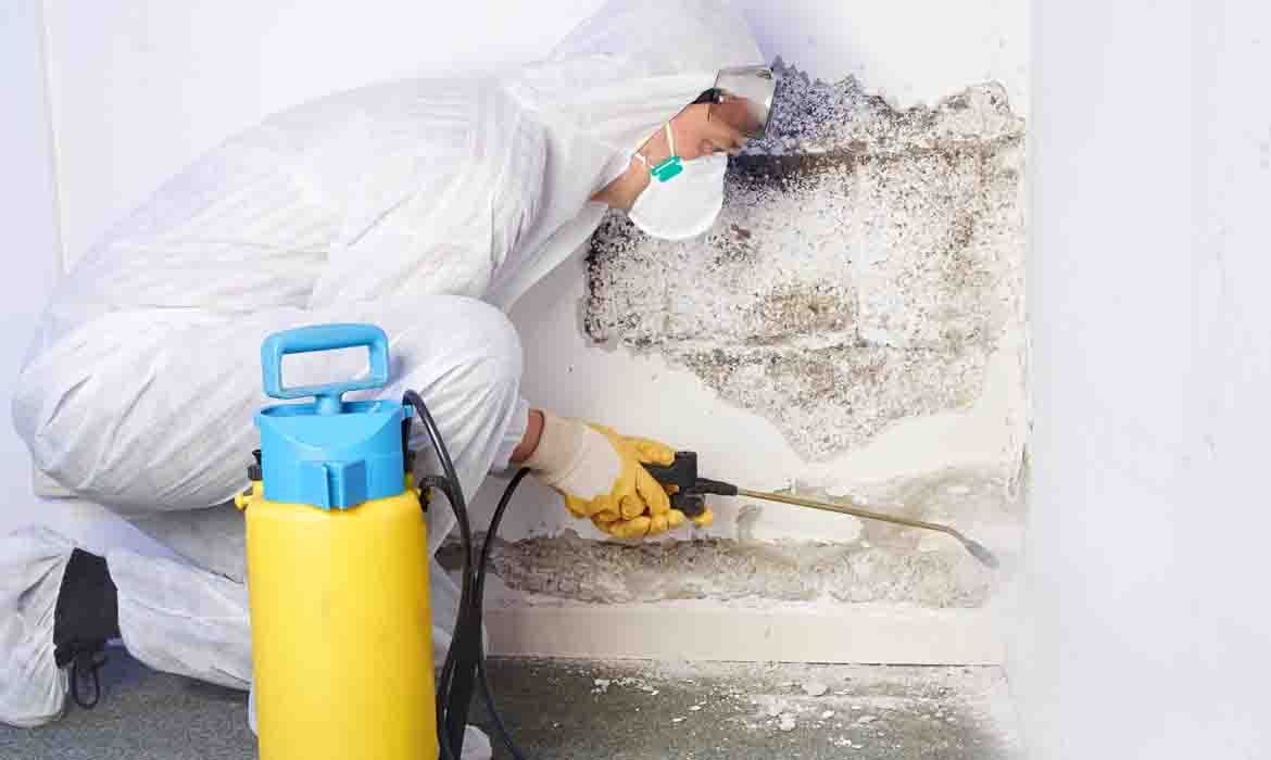 Interesting Info About Mold Removal Greensboro