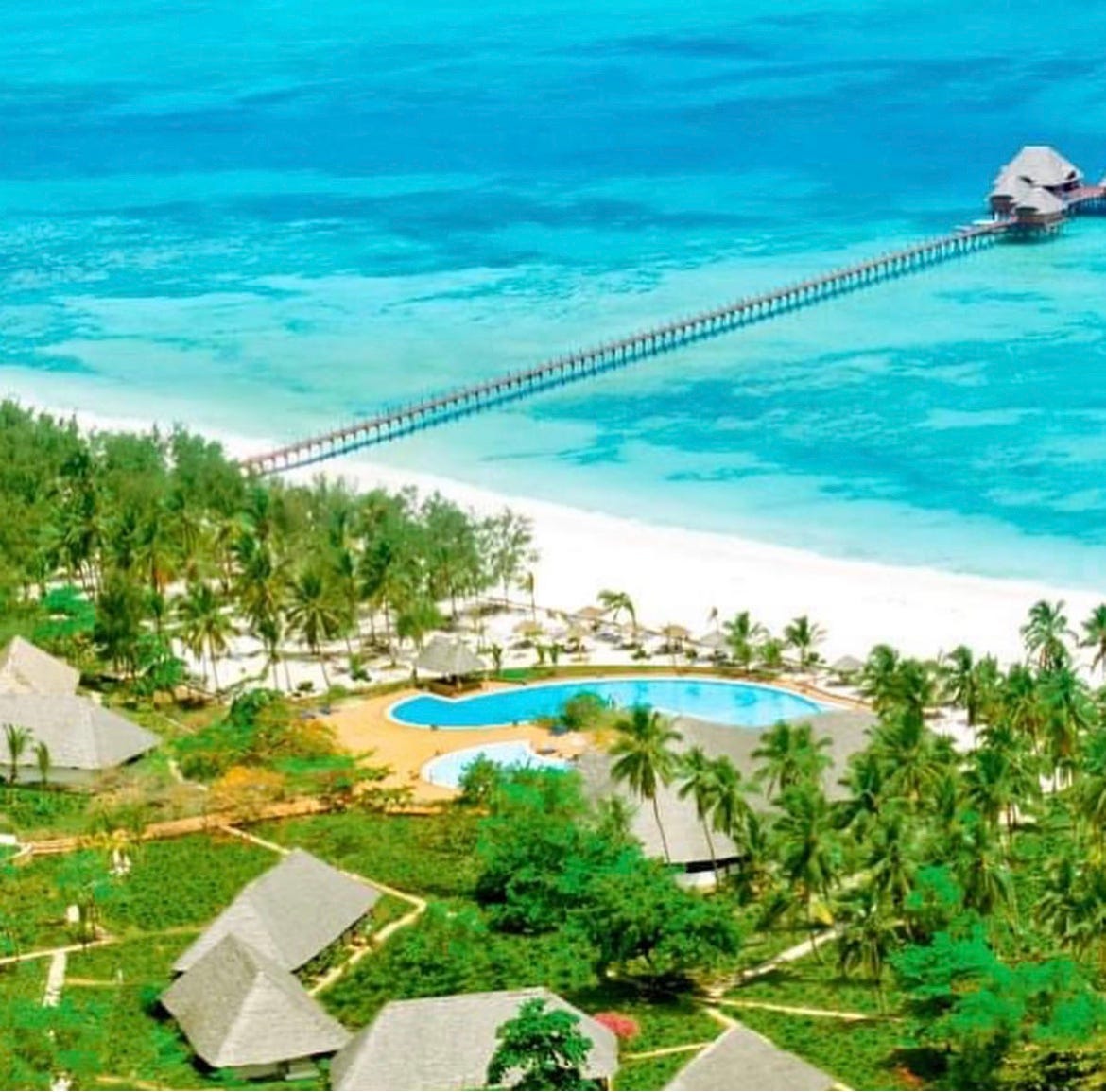 Why is Blue Dongwe Jetty considered the Best Seafood Restaurant in 