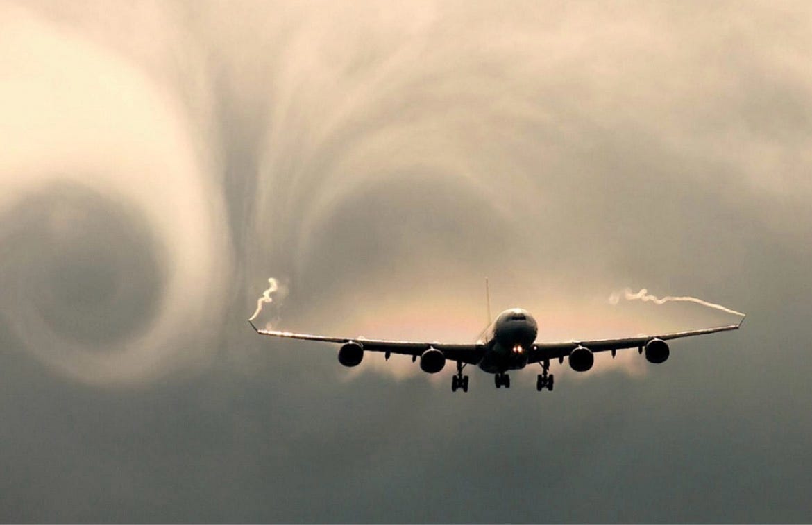 Bir Kabin Memuru Adayının Gözünden: Avifobi ile Barışma Rehberi