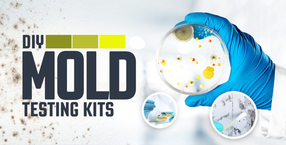 What Is The Best Home Mold Test Kit? | By Mold Facts | Medium