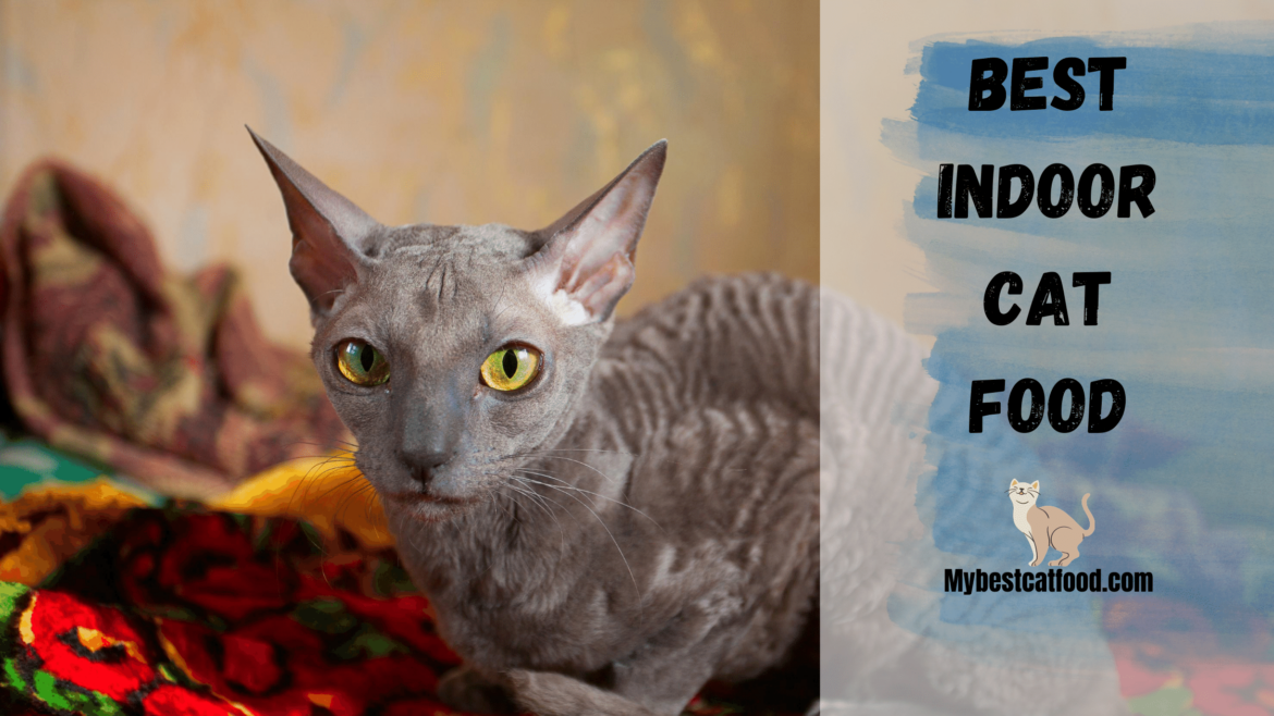 Best Indoor Cat Food Complete Guide How To Select Best Indoor Food