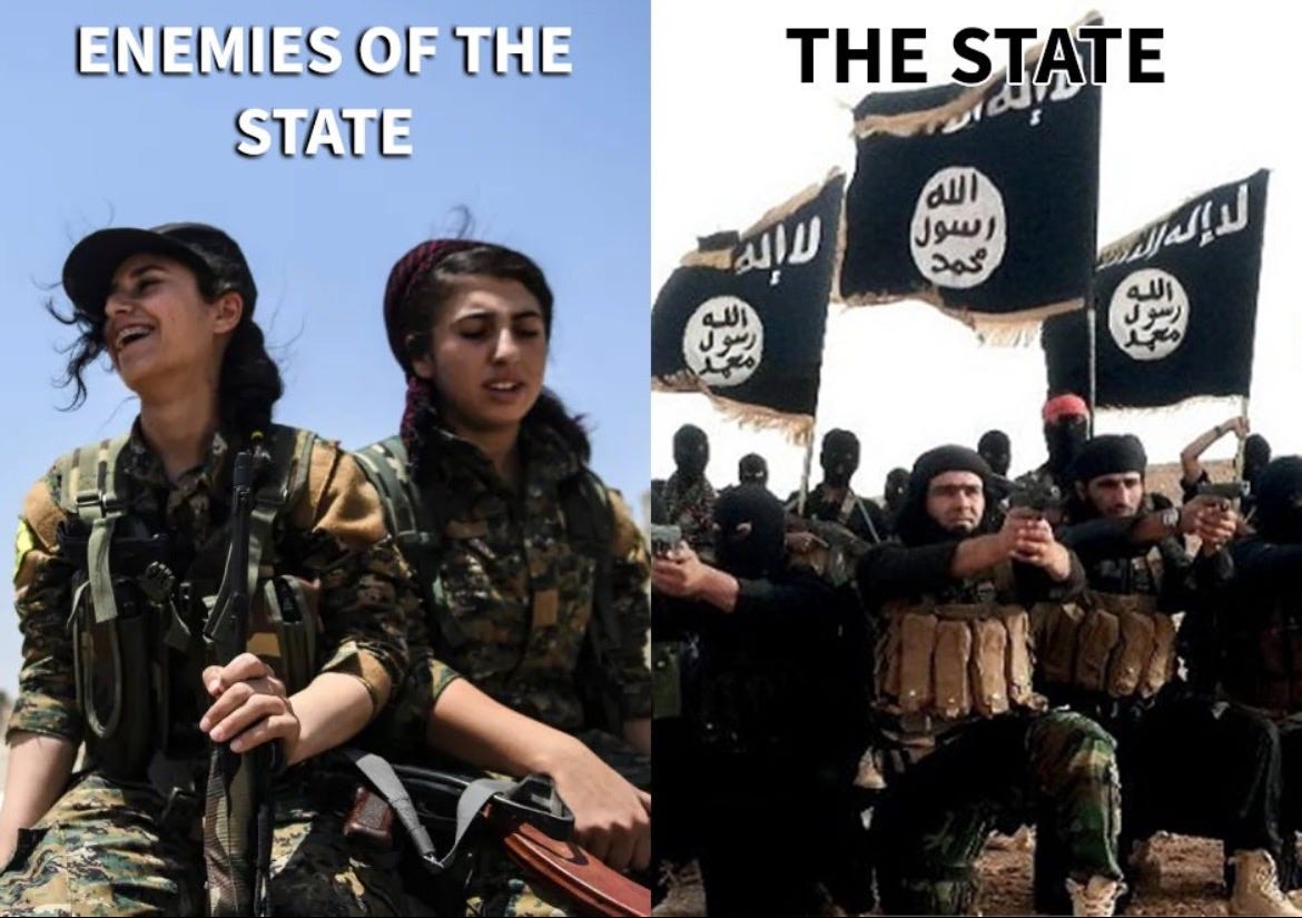 MSM WTF !